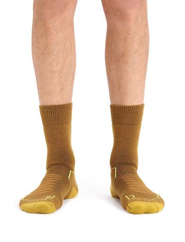 Men's Icebreaker Merino Hike+ Heavy Crew Socks Clove / Silent Gold | CA 1928QMAZ